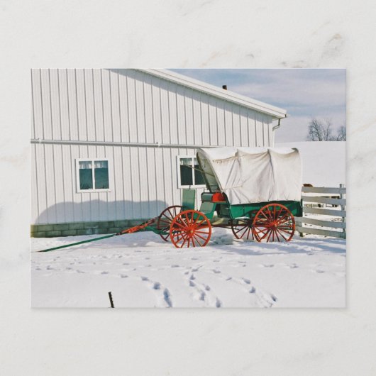 Amish Covered Wagon-Briefkaart Briefkaart (Voorkant)