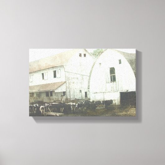 Amish Dairy Black en White Canvas Afdruk (Voorkant)