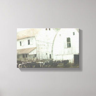Amish Dairy Canvas Afdruk