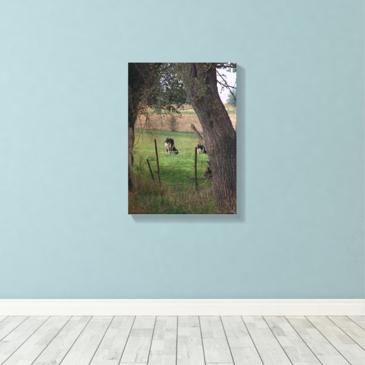 Amish Dairy Cattle Canvas Afdruk (Insitu (Houten vloer))