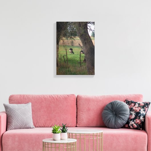 Amish Dairy Cattle Canvas Afdruk (Insitu (Woonkamer))
