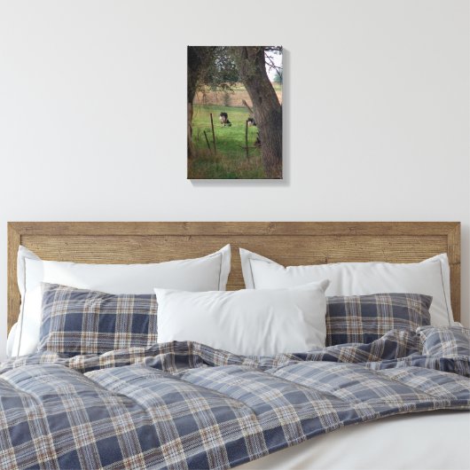 Amish Dairy Cattle Canvas Afdruk (Insitu (Slaapkamer))
