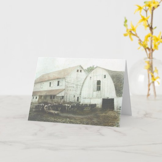 Amish Dairy Kaart (Gele Bloem)