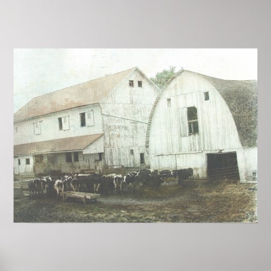 Amish Dairy Poster (Voorkant)