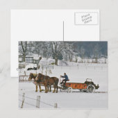 Amish Draft Horses Giddie-Up Briefkaart (Voorkant / Achterkant)
