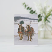 Amish Draft paarden in Winter-Briefkaart Briefkaart (Staand voorkant)
