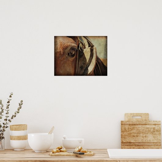 Amish Equine Poster (Keuken)
