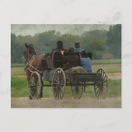 Amish Family Outing Briefkaart (Voorkant)