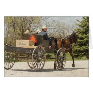 Amish Family Rubriek Home