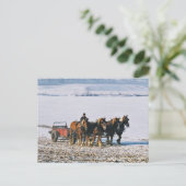 Amish Farmer op Spreader-Briefkaart-2 Briefkaart (Staand voorkant)