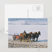 Amish Farmer op Spreader-Briefkaart-2 Briefkaart (Voorkant / Achterkant)