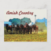 Amish Farming Briefkaart (Voorkant)