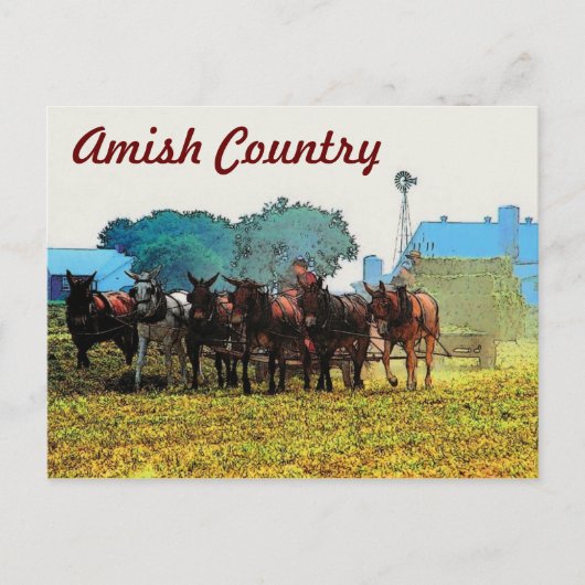 Amish Farming Briefkaart (Voorkant)