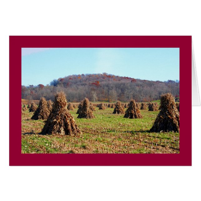 Amish Fields (Voorkant Horizontaal)
