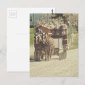 Amish Flower Delivery Briefkaart (Voorkant / Achterkant)
