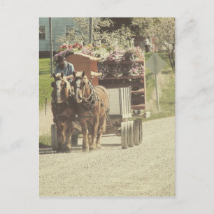 Amish Flower Delivery Briefkaart