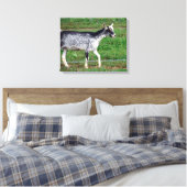 Amish Goat Canvas Afdruk (Insitu (Slaapkamer))