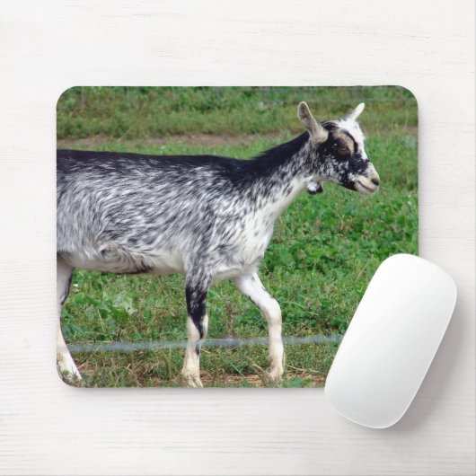 Amish Goat Muismat (Met muis)
