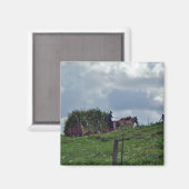 Amish Harvest Magneet (Voorkant / Achterkant)