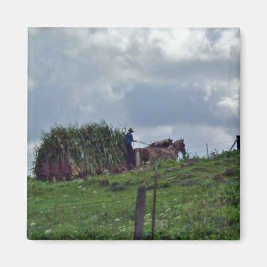 Amish Harvest Magneet (Voorkant)