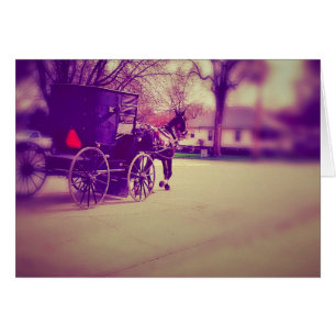 Amish Horse and Buggy