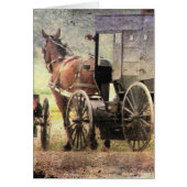 Amish Horse and Buggy (Voorkant)