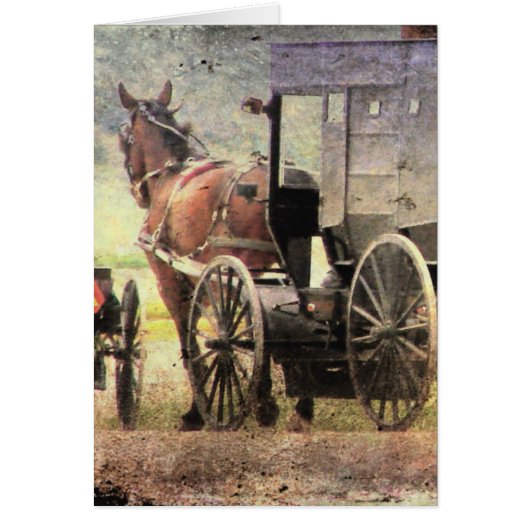 Amish Horse and Buggy (Voorkant)