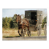 Amish Horse and Buggy (Voorkant Horizontaal)