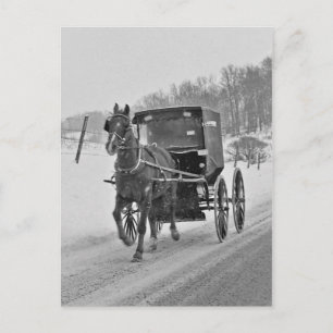 Amish Horse and Buggy 3-Briefkaart Briefkaart