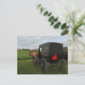 Amish Horse and Buggy at Sunset Briefkaart (Staand voorkant)