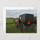Amish Horse and Buggy at Sunset Briefkaart (Voorkant / Achterkant)