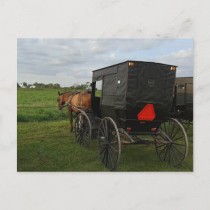 Amish Horse and Buggy at Sunset Briefkaart