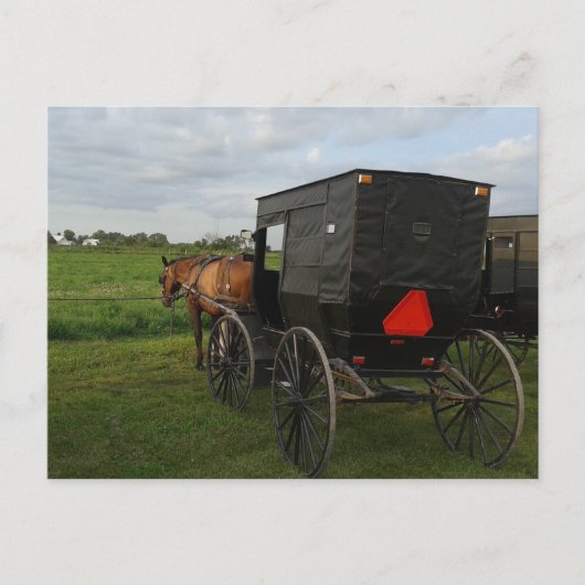 Amish Horse and Buggy at Sunset Briefkaart (Voorkant)