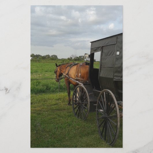 Amish Horse and Buggy at Sunset Briefpapier (Voorkant)