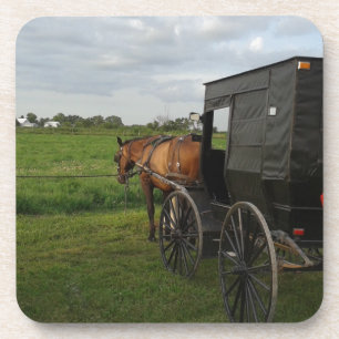 Amish Horse and Buggy at Sunset Drankjes Onderzetter