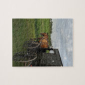 Amish Horse and Buggy at Sunset Legpuzzel (Horizontaal)