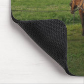 Amish Horse and Buggy at Sunset Muismat (Hoek)