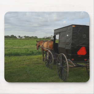 Amish Horse and Buggy at Sunset Muismat