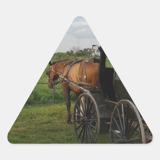 Amish Horse and Buggy at Sunset Sticker (Voorkant)