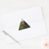 Amish Horse and Buggy at Sunset Sticker (Envelop)