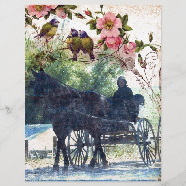 Amish Horse and Buggy Birdie Texture (Voorkant)