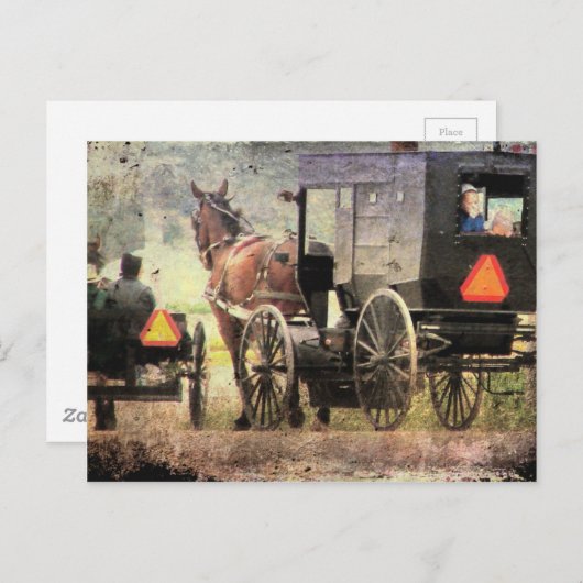 Amish Horse and Buggy Briefkaart (Voorkant / Achterkant)