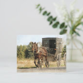 Amish Horse and Buggy Briefkaart (Staand voorkant)