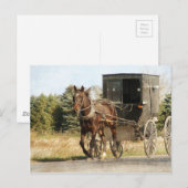 Amish Horse and Buggy Briefkaart (Voorkant / Achterkant)