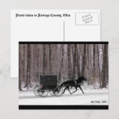 Amish Horse and Buggy Briefkaart (Voorkant / Achterkant)