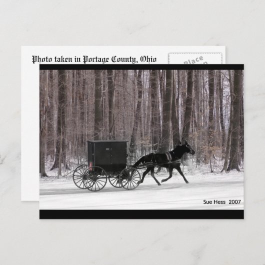 Amish Horse and Buggy Briefkaart (Voorkant / Achterkant)