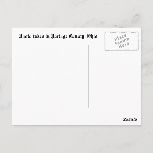 Amish Horse and Buggy Briefkaart (Achterkant)