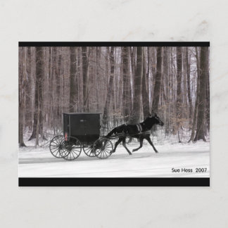 Amish Horse and Buggy Briefkaart