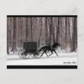 Amish Horse and Buggy Briefkaart (Voorkant)