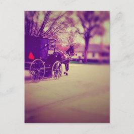 Amish Horse and Buggy Briefkaart